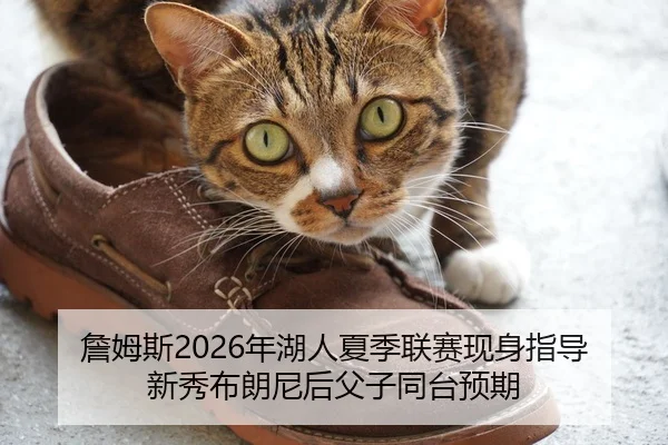 詹姆斯2026年湖人夏季联赛现身指导新秀布朗尼后父子同台预期